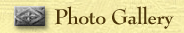 Photo Gallery