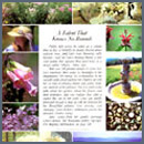Vignettes of Connecticut  Home and Garden